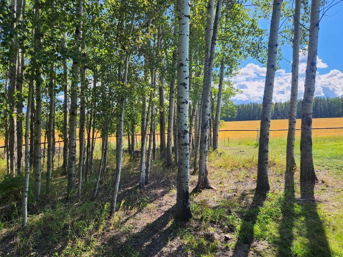 Fully Renovated Country Acreage on 1+acre