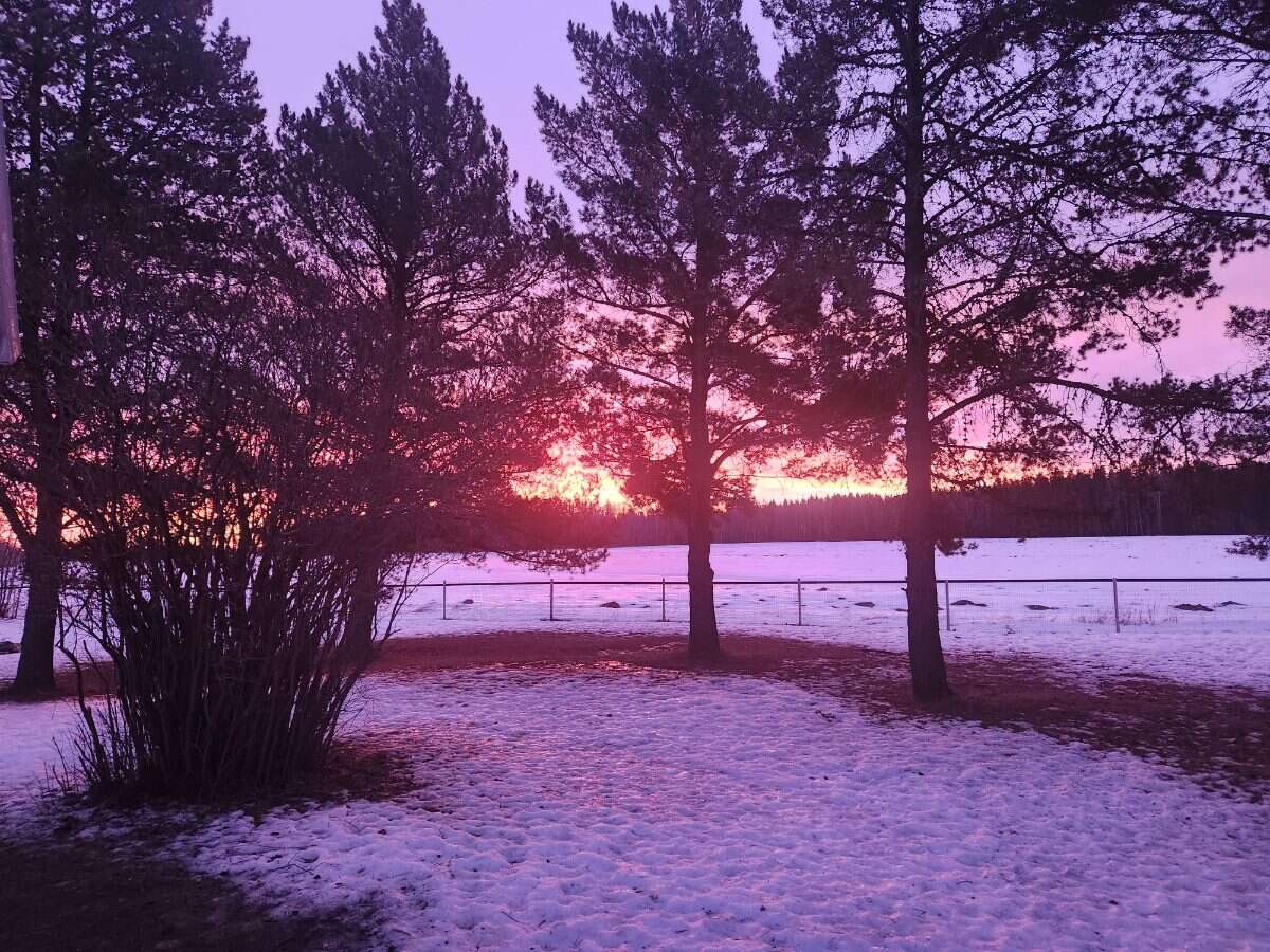 Fully Renovated Country Acreage on 1+acre