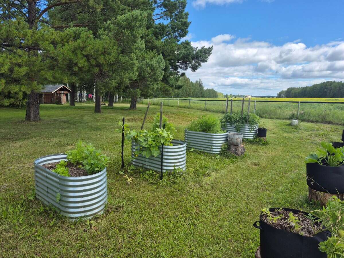 Fully Renovated Country Acreage on 1+acre