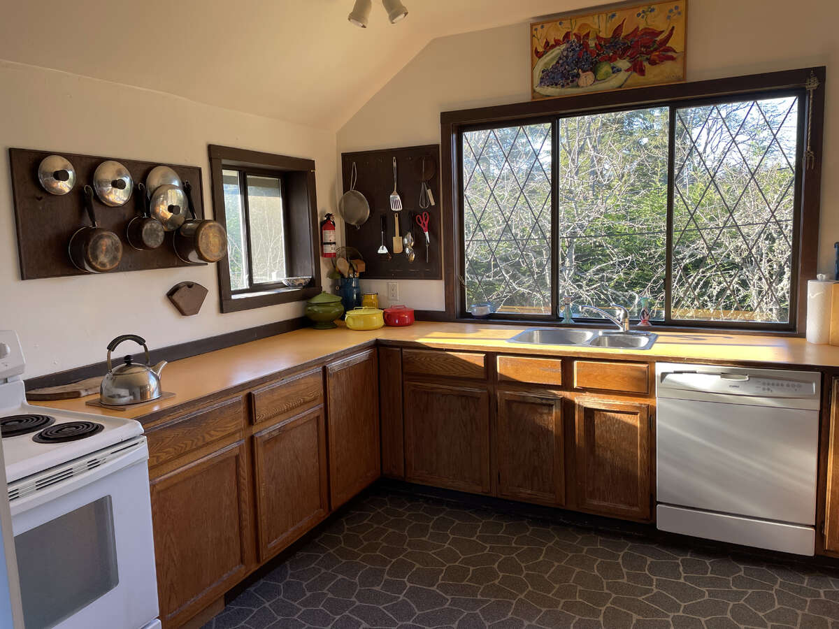 Kitchen facing backyard