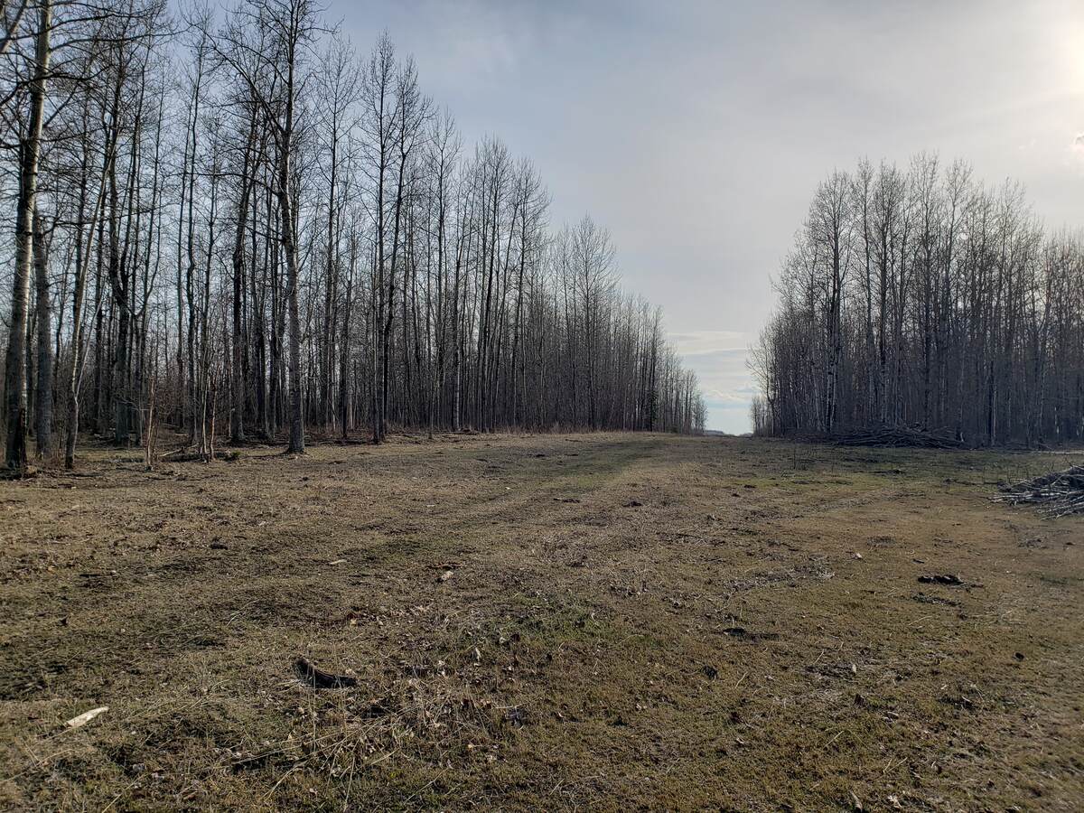 Vacant Land / Acreage / Farm / Ranch / Recreational Property For Sale in Breton, AB