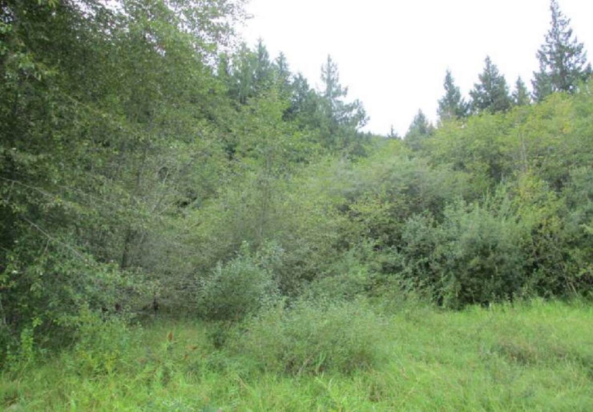 Vacant Land For Sale in Qualicum Beach, BC