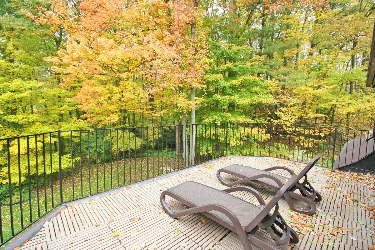 *Cottage Like Home Hidden Treasure in RichmondHill