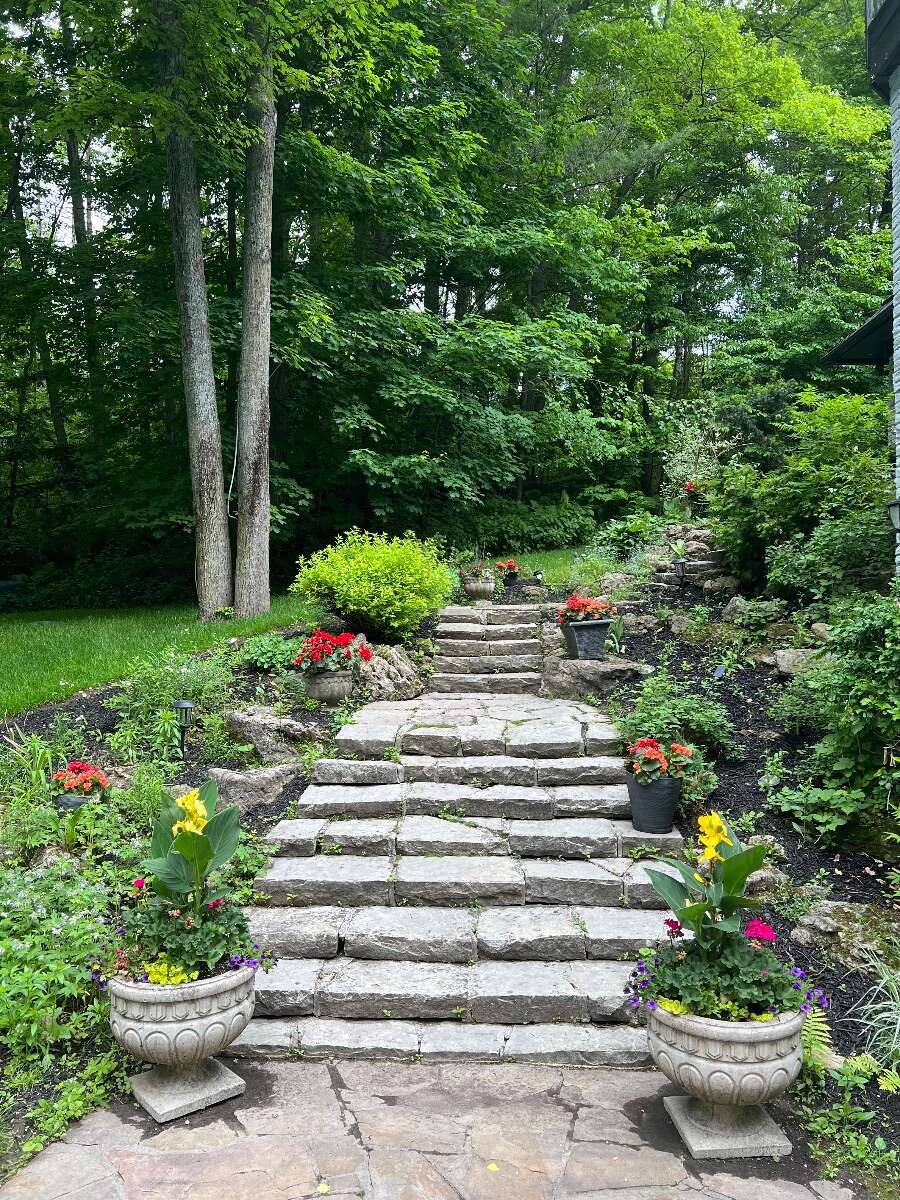 *Cottage Like Home Hidden Treasure in RichmondHill