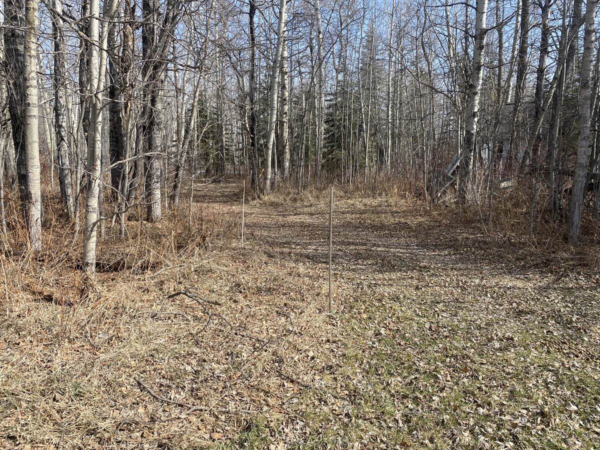 Waterfront Property / Recreational Property / Vacant Land For Sale in Pigeon Lake, AB