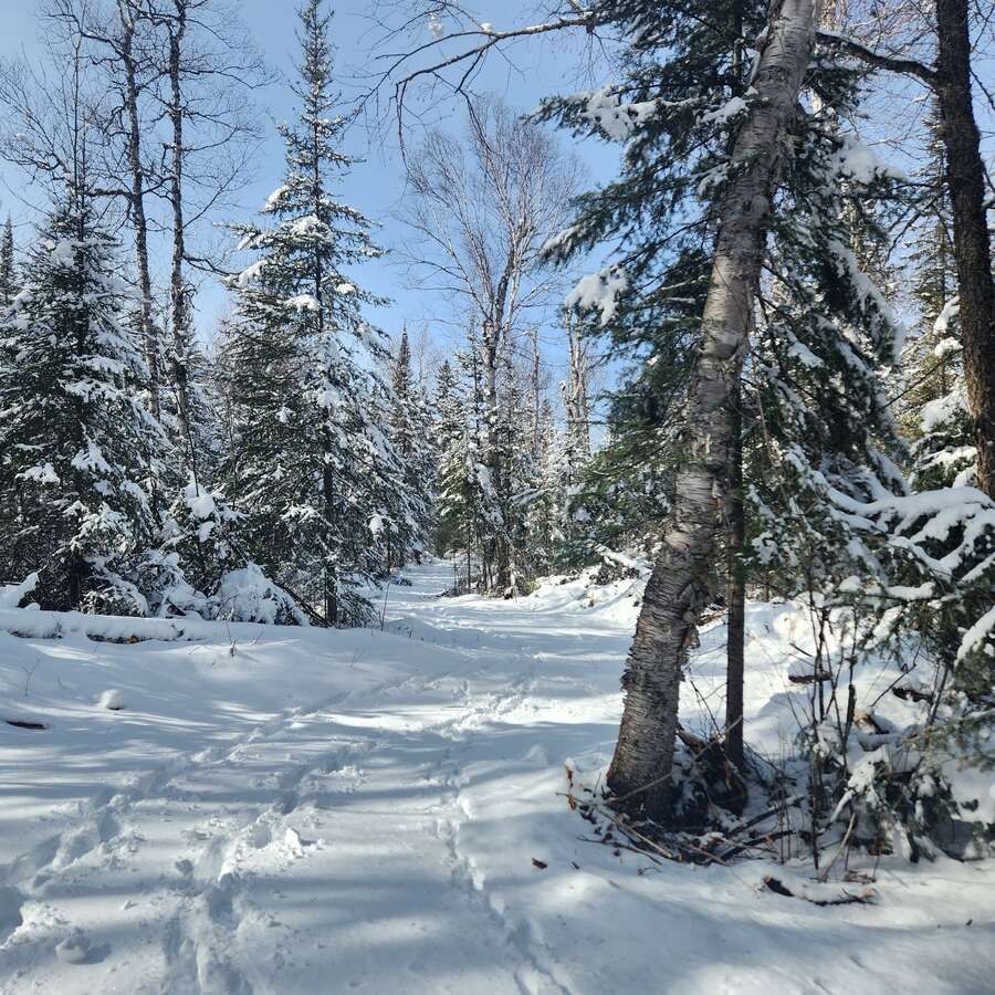 Rough-cut roads built to member's sites.