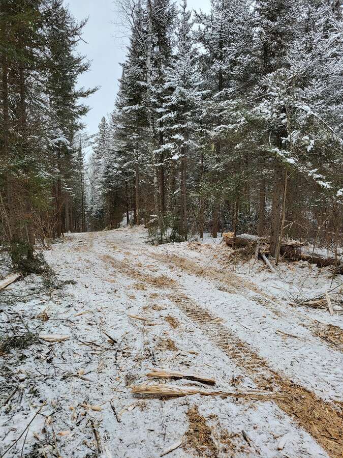 Rough-road cut into 100-acre Kenogami community property.
