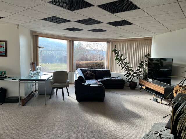 Basement Suite living room