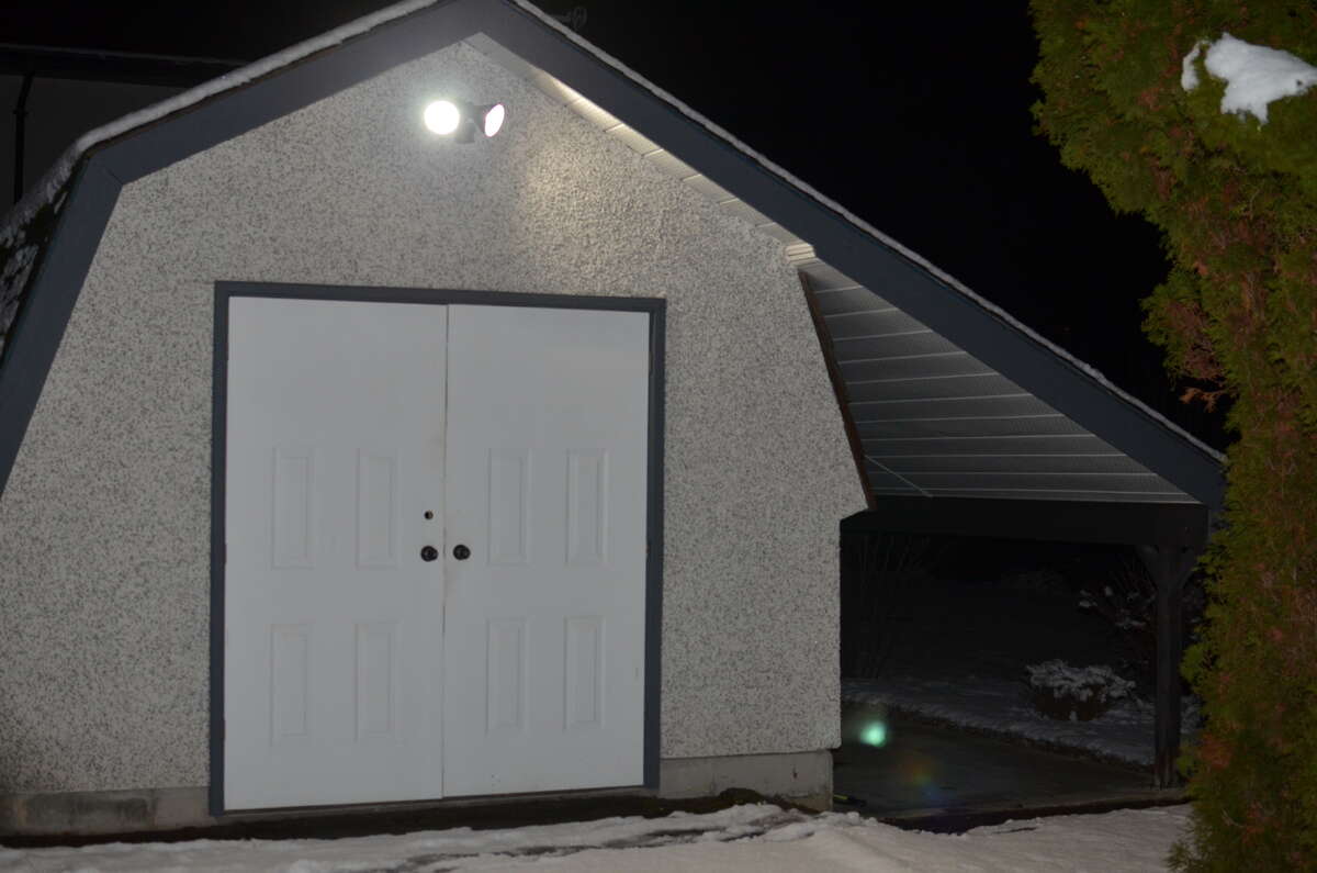 out back shed with lien-to