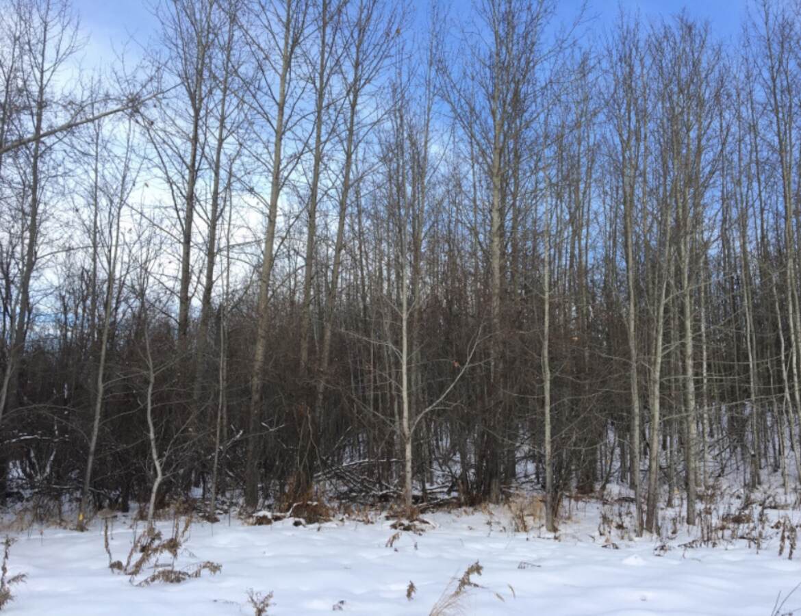 Vacant Land / Acreage For Sale in Parkland County, AB