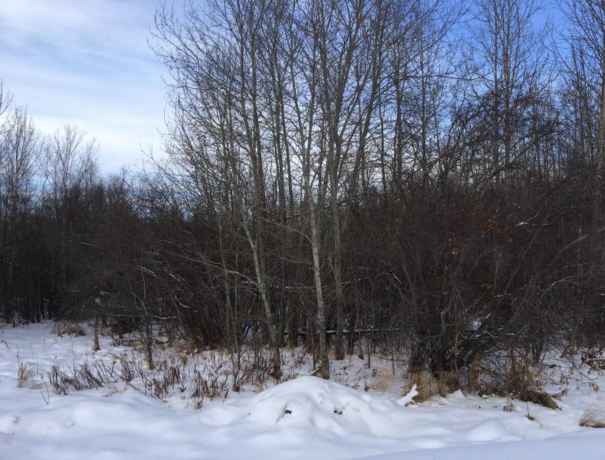 Vacant Land / Acreage For Sale in Parkland County, AB