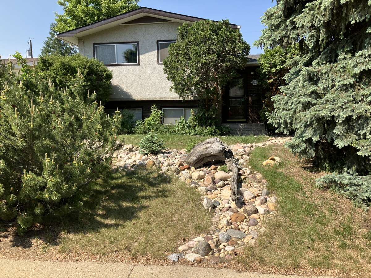 Front Yard - Mature trees & River bed
