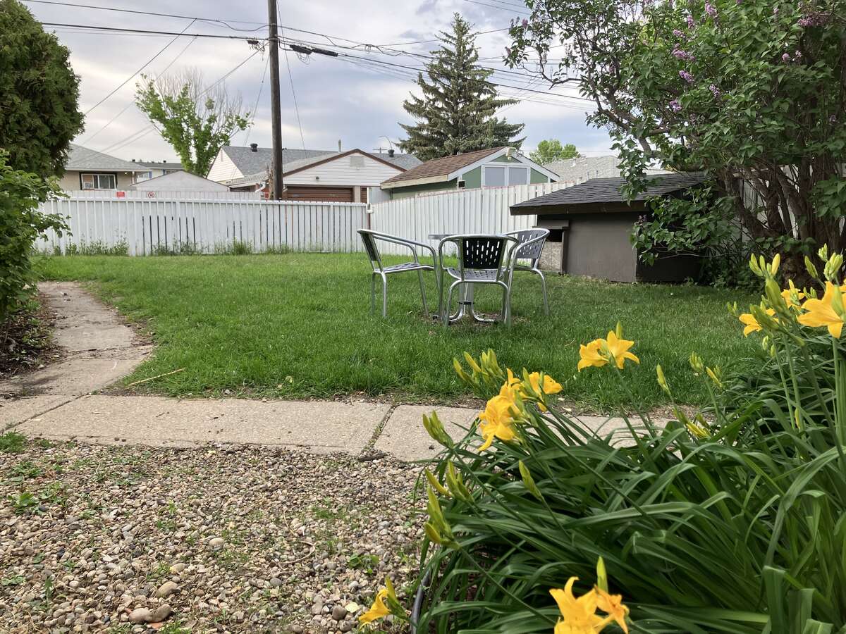 Spacious backyard with storage shed/dog house