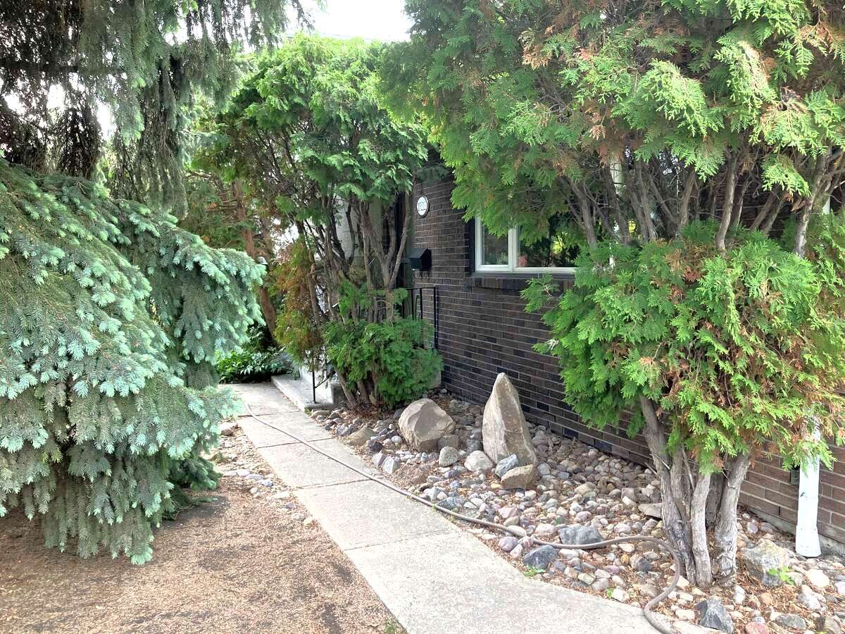 Upgraded Home on Spacious Lot in Prime Location