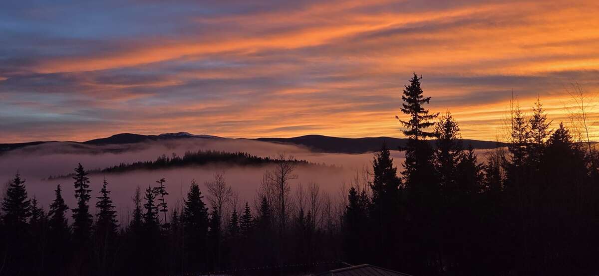 Beautiful acreage with mountain views!