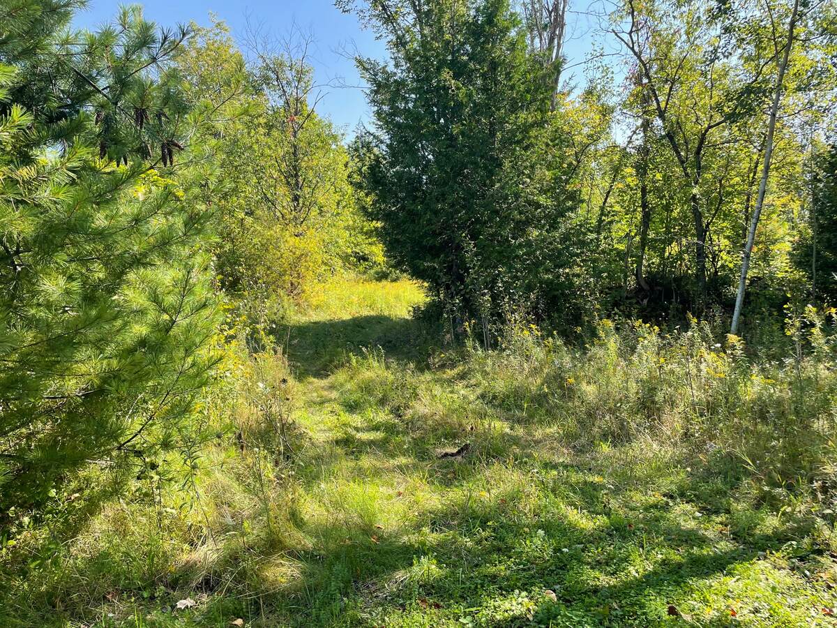 Vacant Land / Acreage For Sale in Dacre, ON