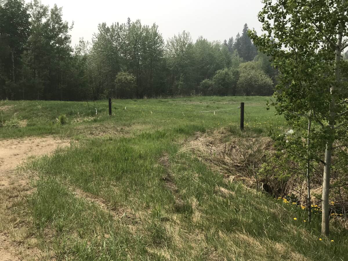 Vacant Land / Recreational Property For Sale in Mulhurst, AB