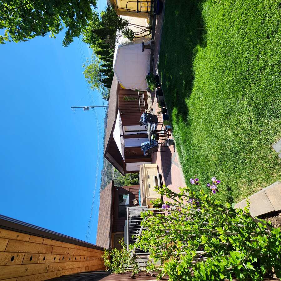 Lovely Back yard
