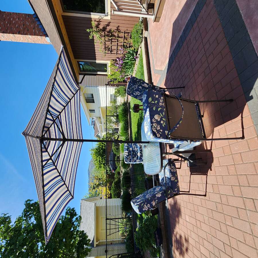Lovely Back yard