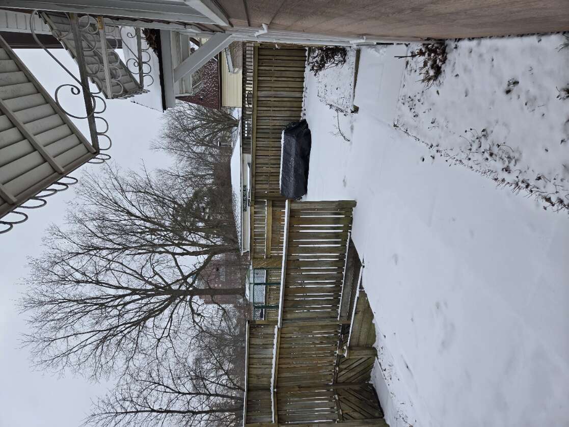 Patio and fence to onground Pool