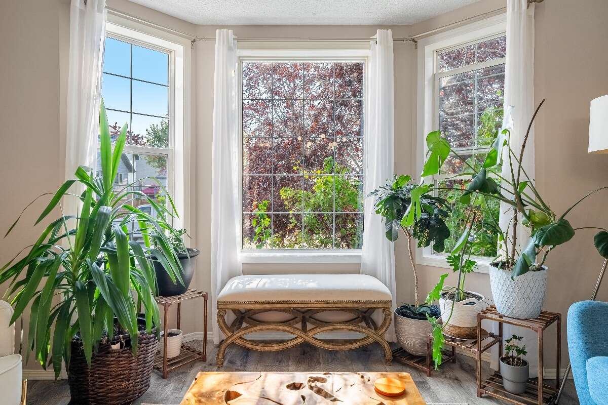 Many modern upgrades, close to amenities & parks