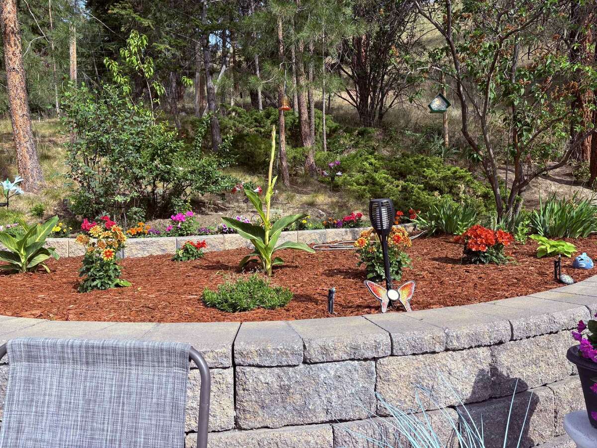 Landscaped yard for low maintenance