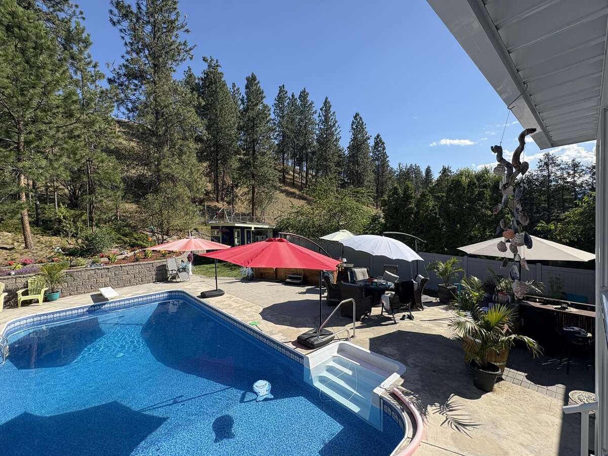 lots of umbrellas for shade and on pool too!