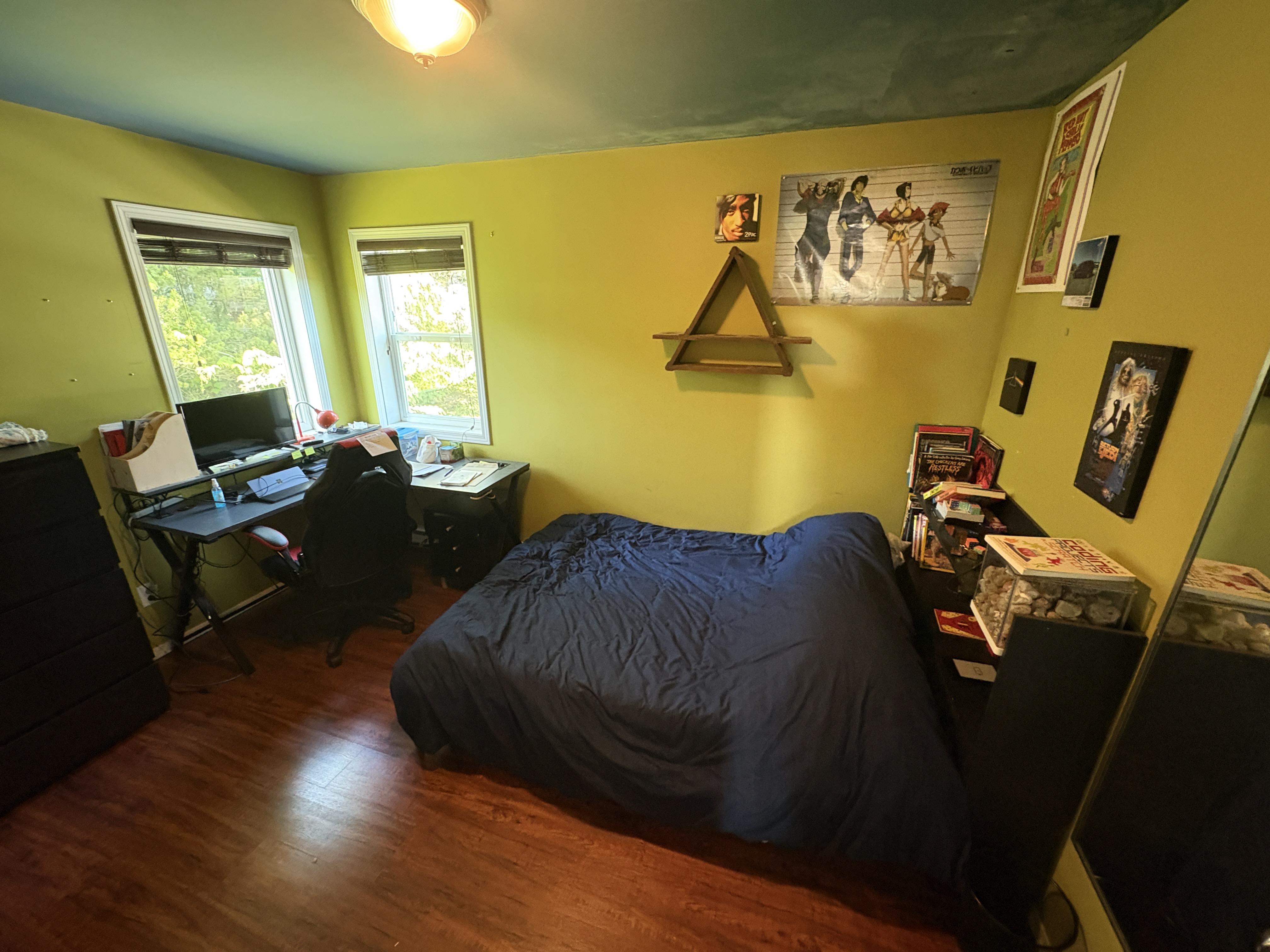 4 bedroom family home & tiny home