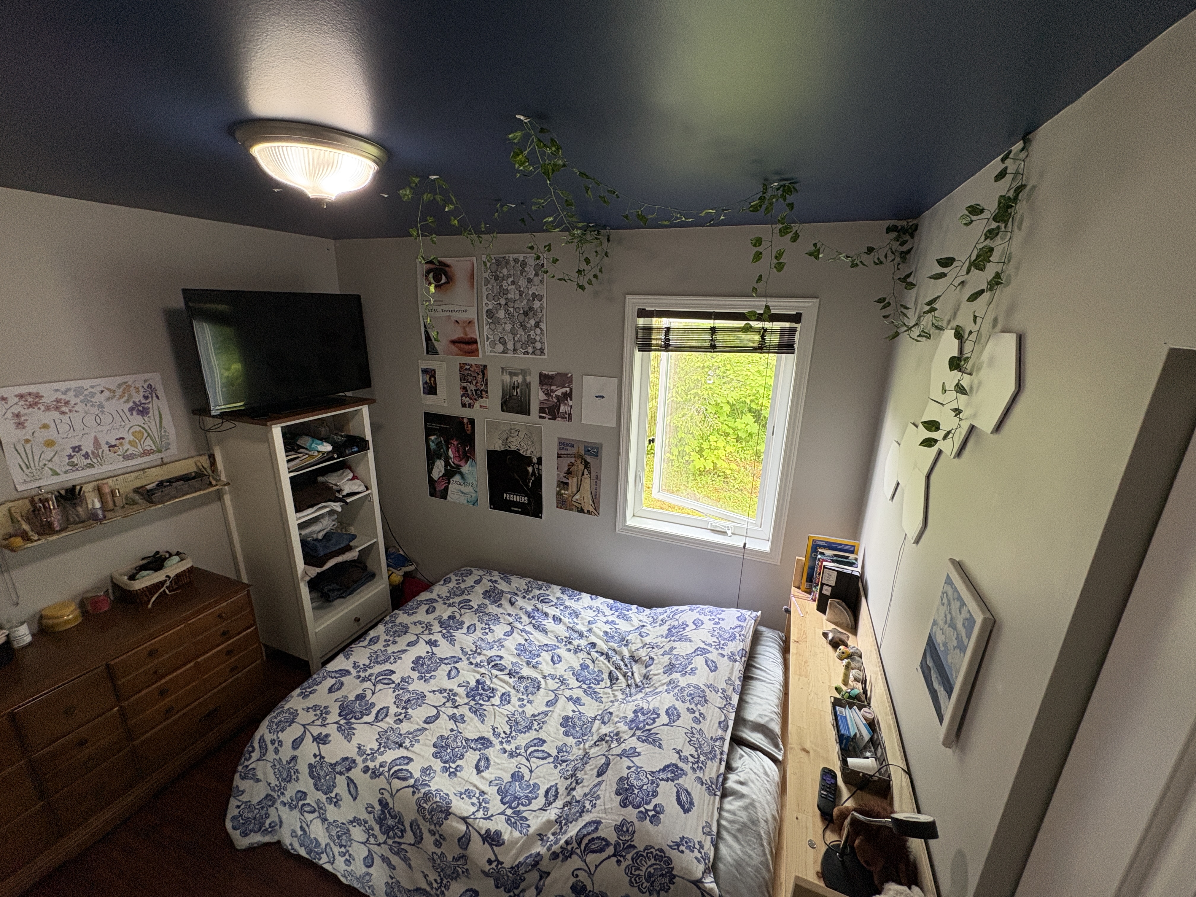 4 bedroom family home & tiny home
