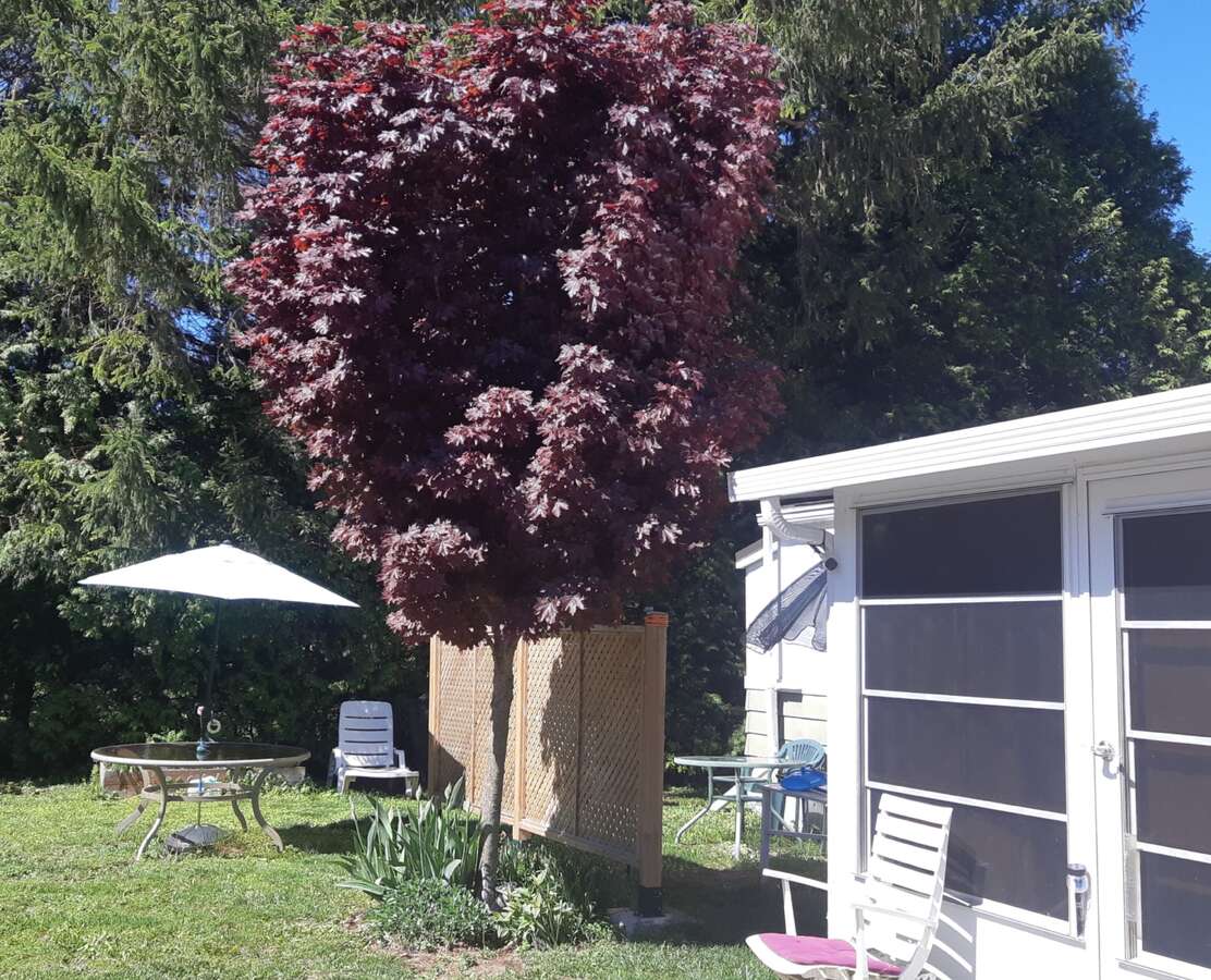Year-round w/yard; use of rec. hall & outdoor pool