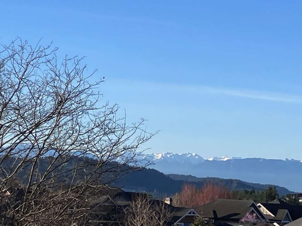 View of Olympic Mountains