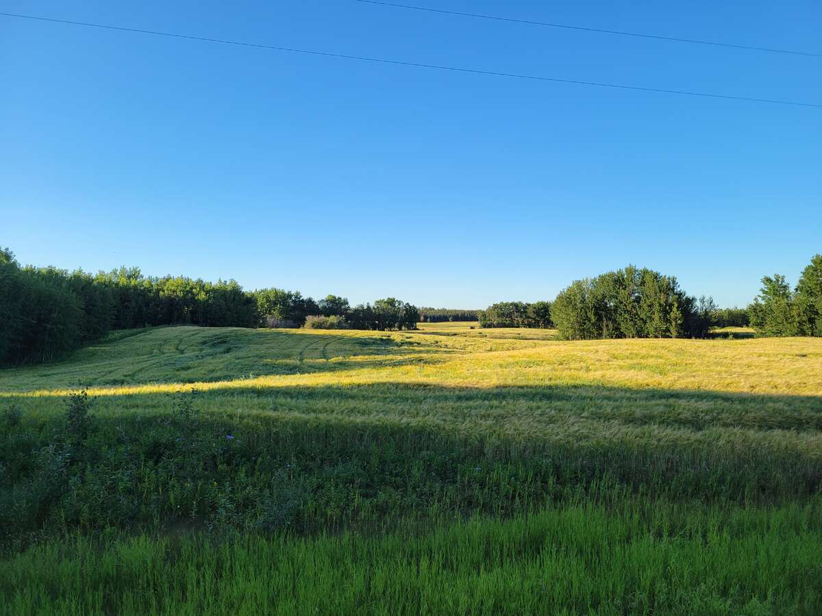 View north from roadway.