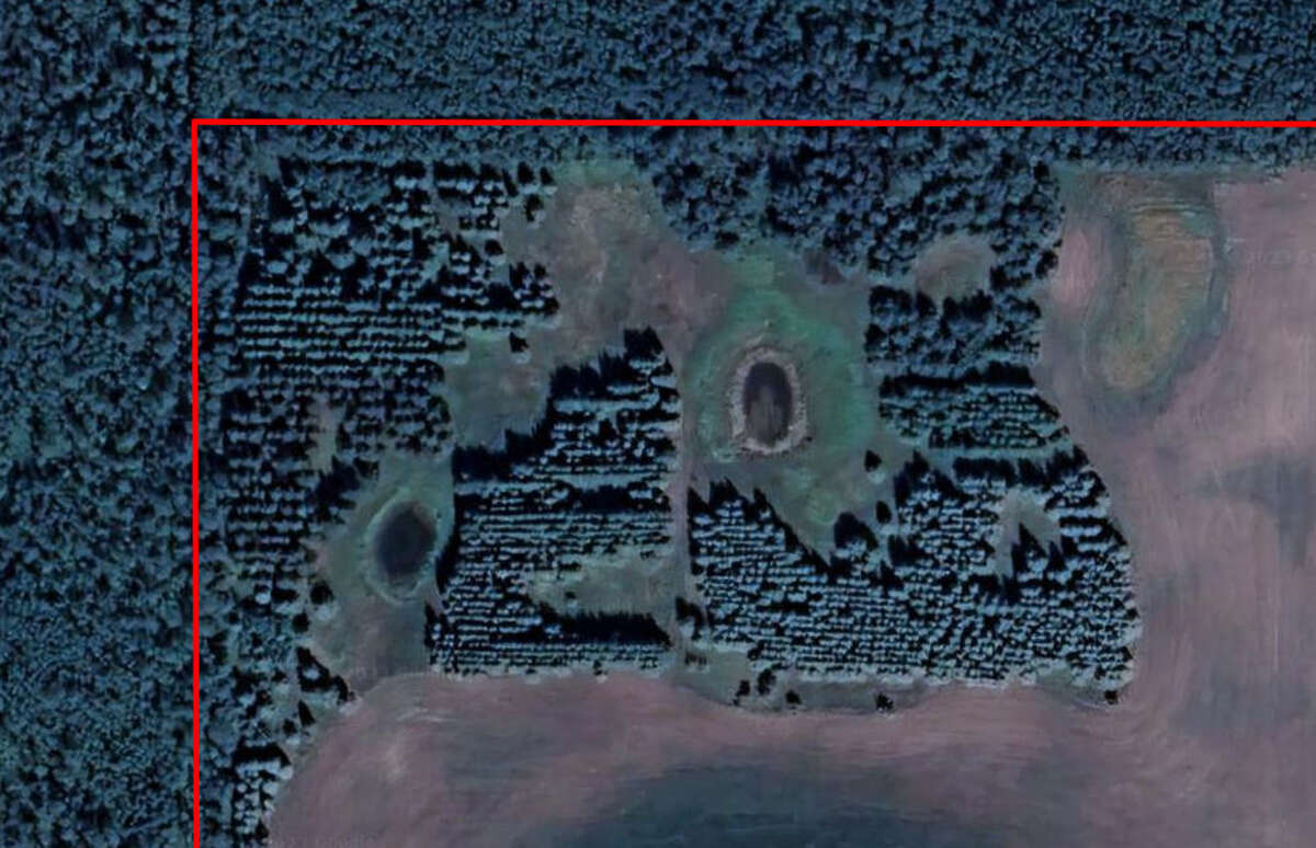 12 acre treed area in NW corner of 80 acres.  Two dugouts.