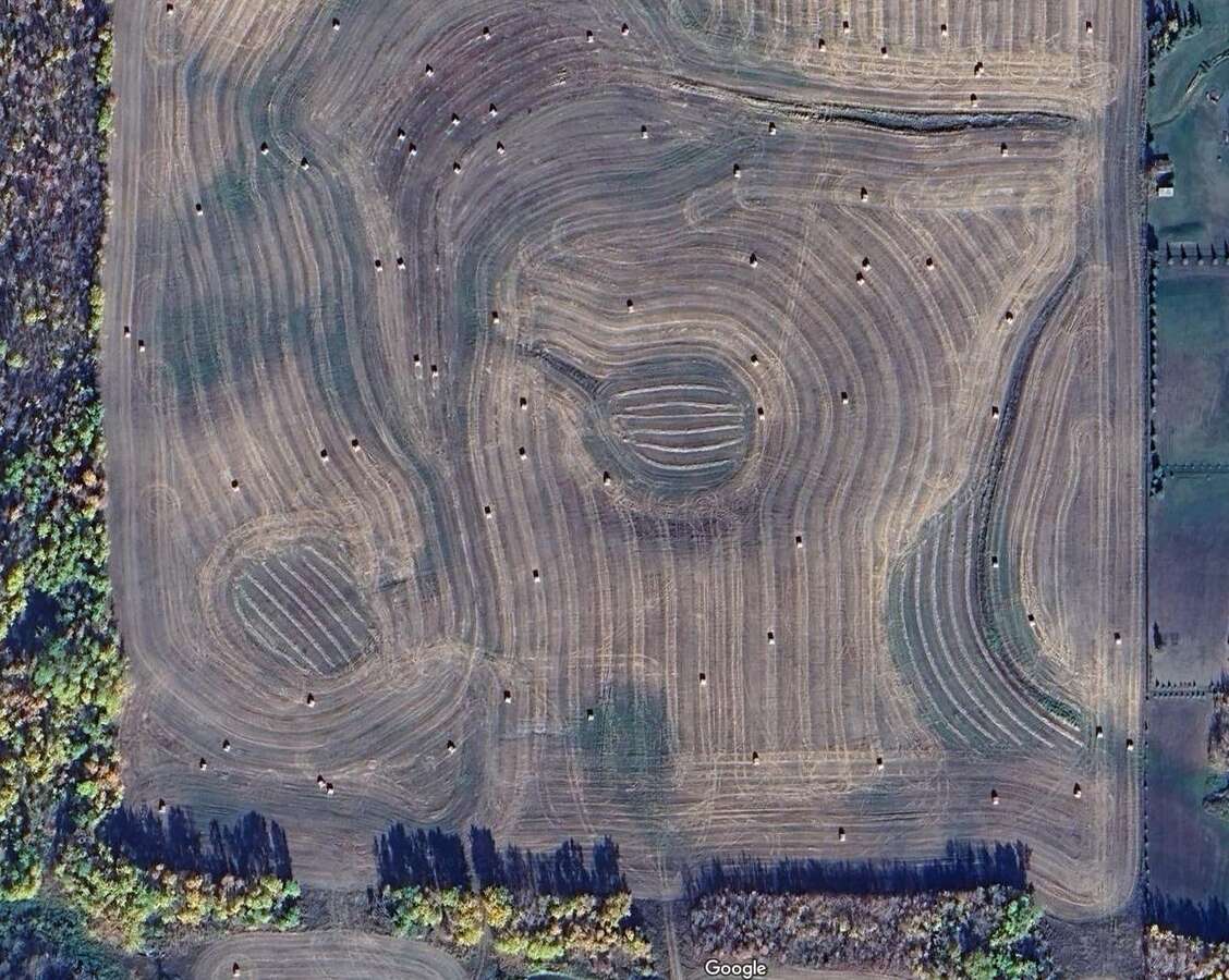 Central portion of 80 acre field
