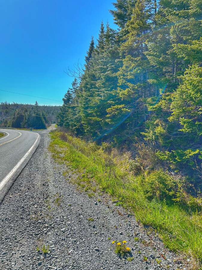 Road frontage