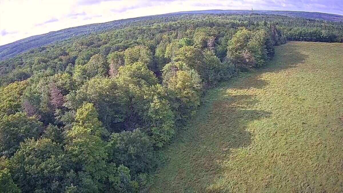 125 acres land/lot/field
