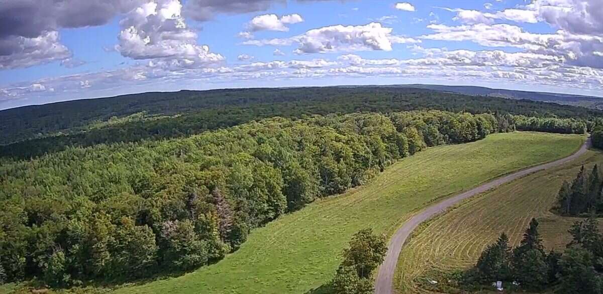 125 acres land/lot/field