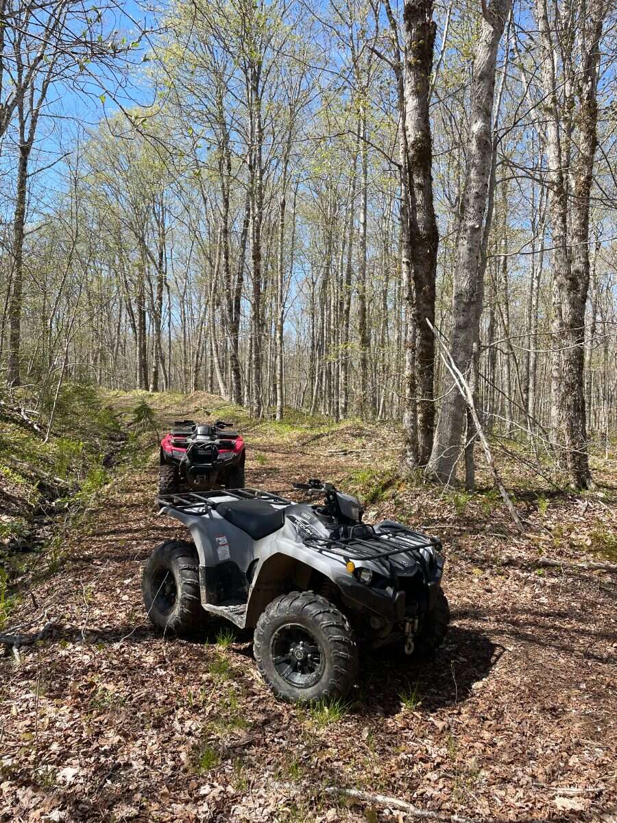 125 acres land/lot/field