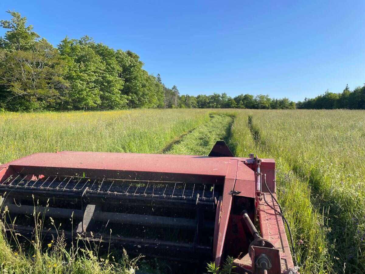 125 acres land/lot/field