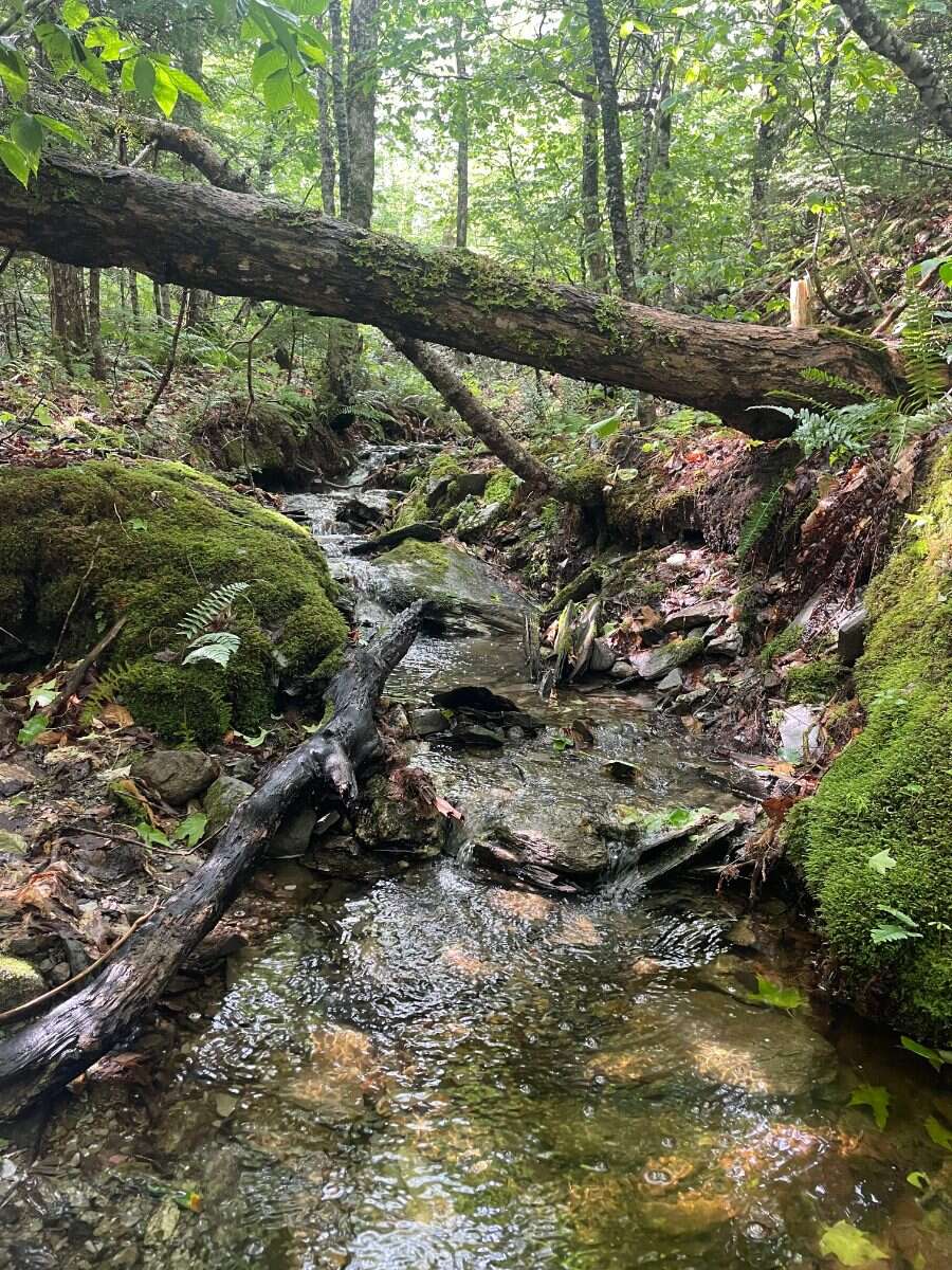 125 acres land/lot/field