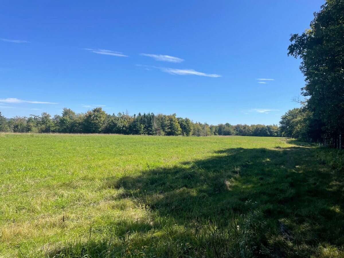125 acres land/lot/field