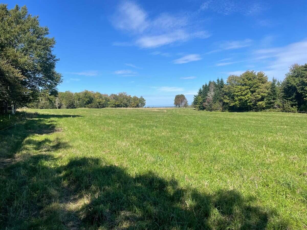 125 acres land/lot/field
