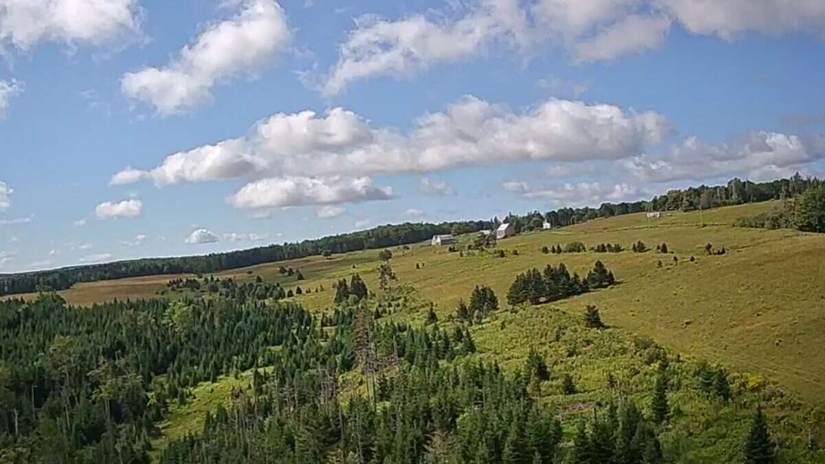 125 acres land/lot/field