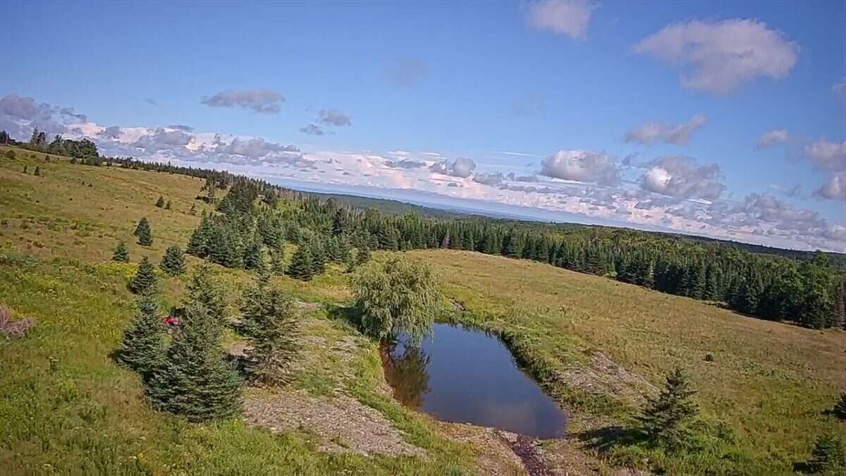 125 acres land/lot/field