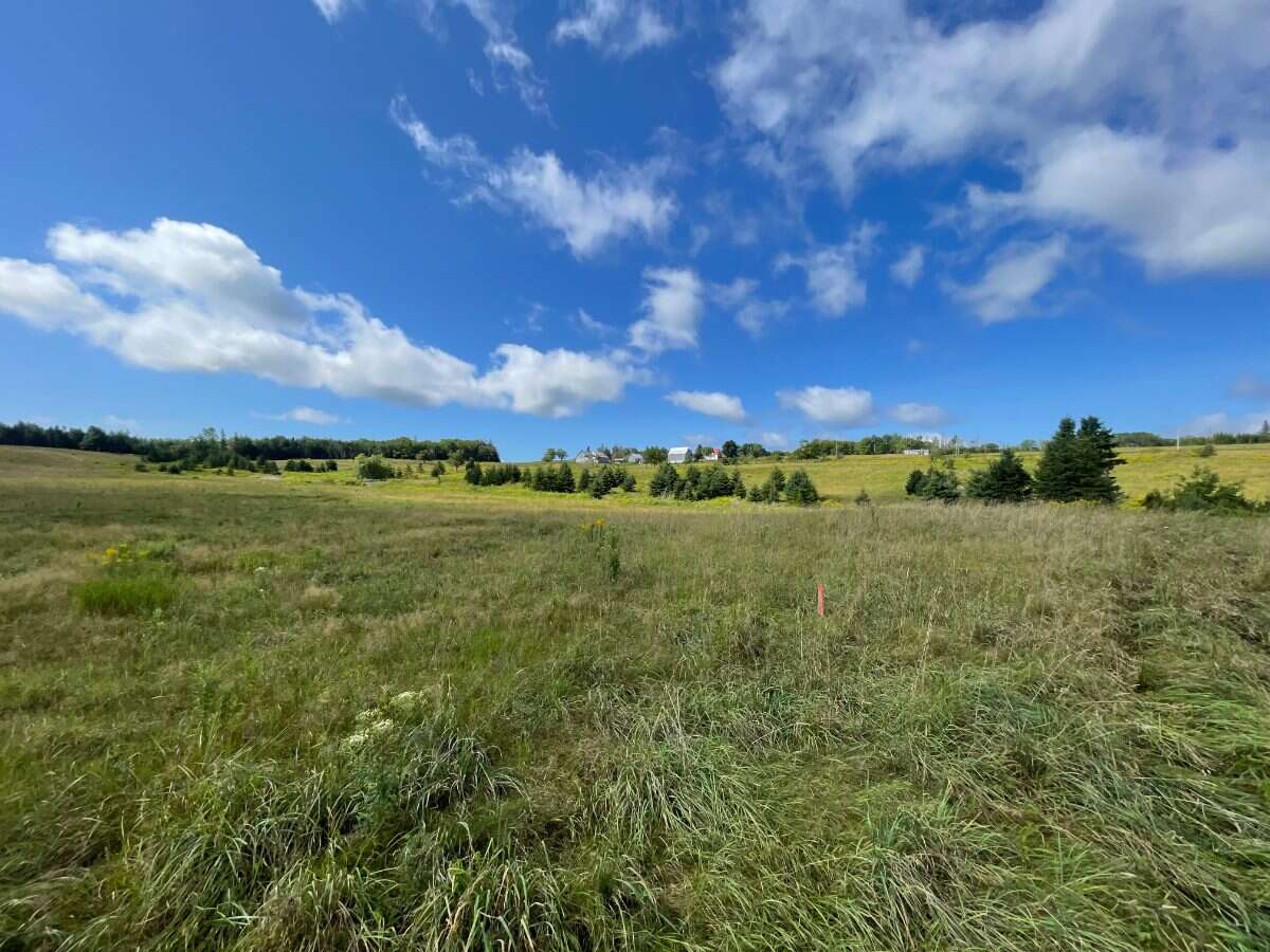 125 acres land/lot/field