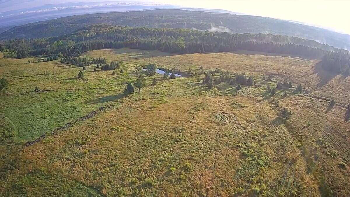 125 acres land/lot/field