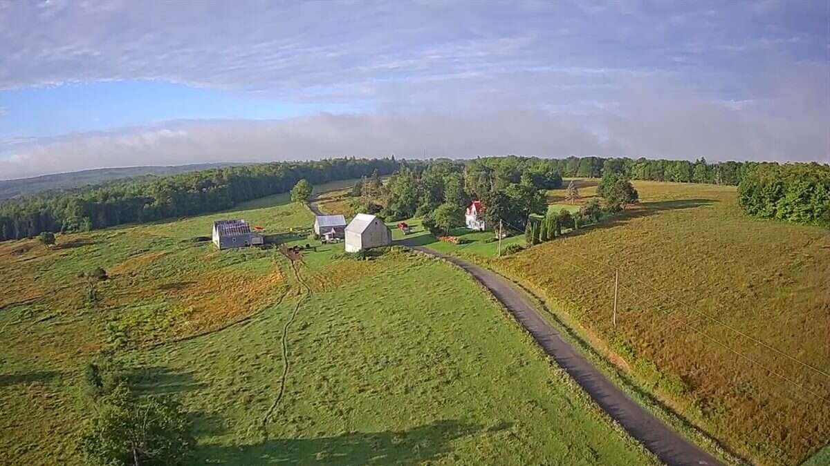 125 acres land/lot/field