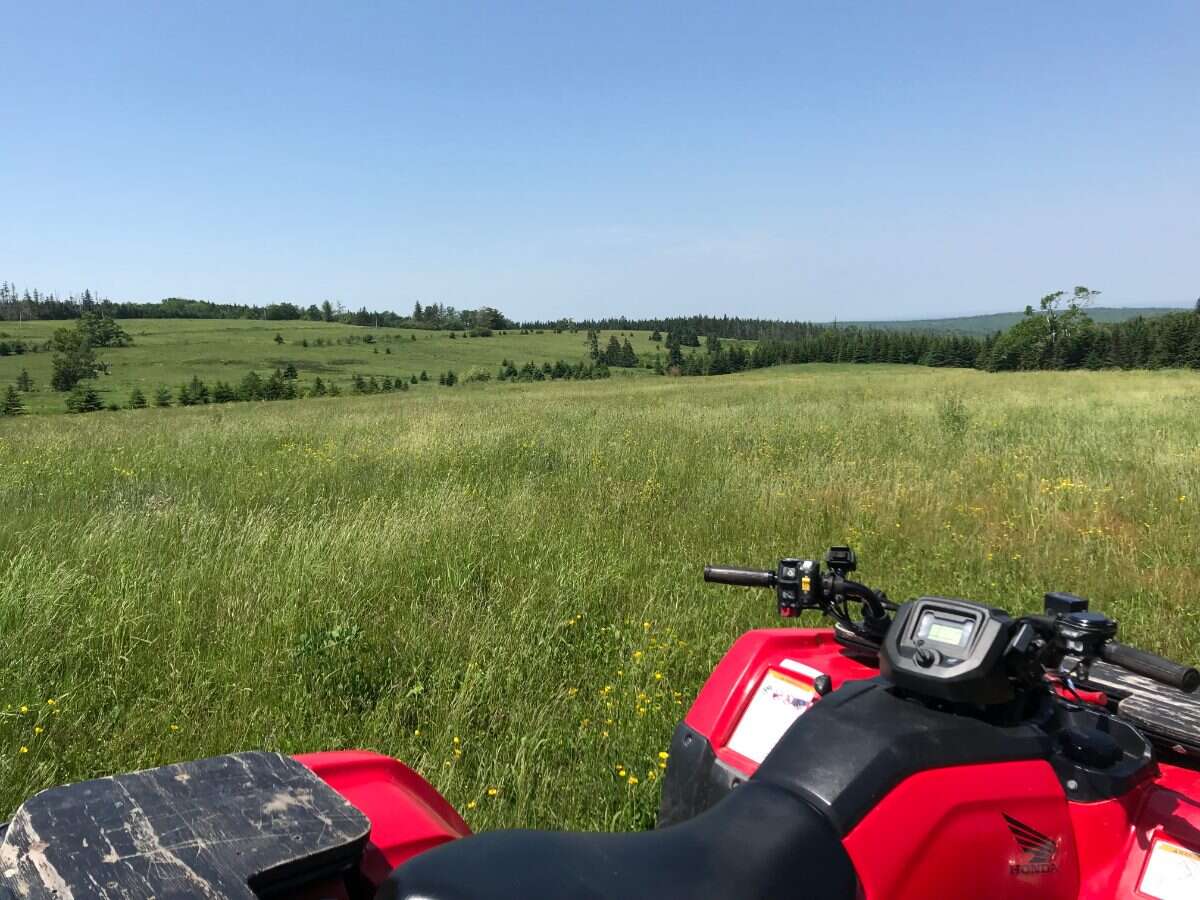 125 acres land/lot/field