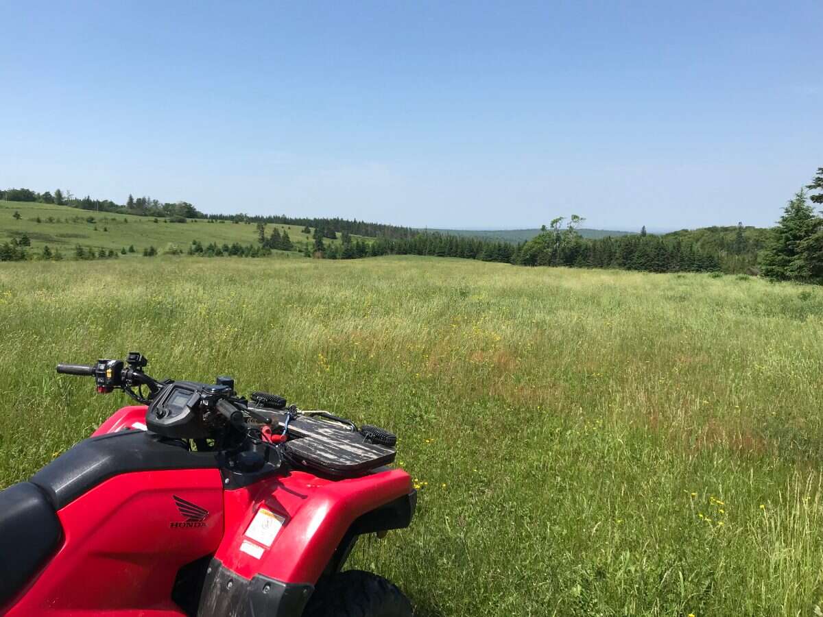 125 acres land/lot/field