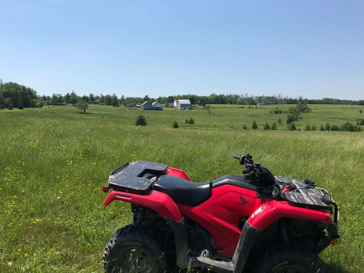 125 acres land/lot/field